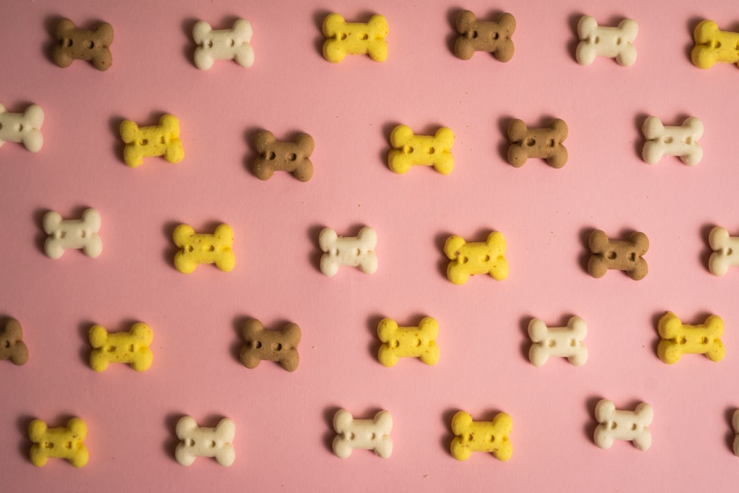 Photo Dog food